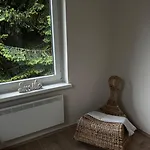 Belaj Celje