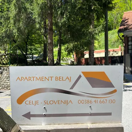 Belaj * Celje