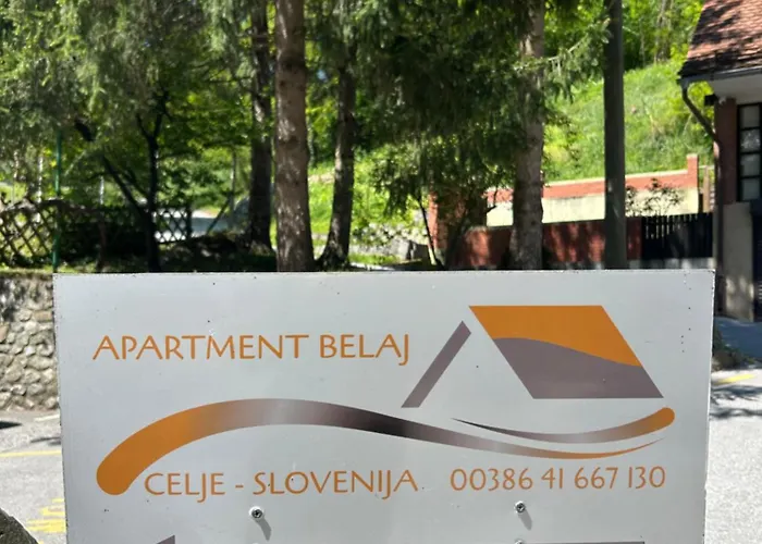 Belaj * Celje